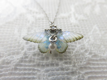 Iridescent Moth Silver Necklace