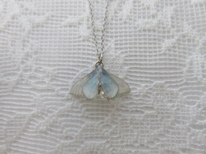 Iridescent Moth Silver Necklace