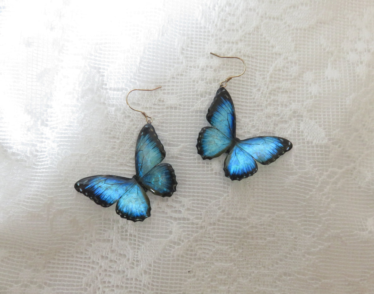 Blue Morpho Butterfly Dangle Earrings