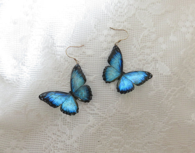 Blue Morpho Butterfly Earrings