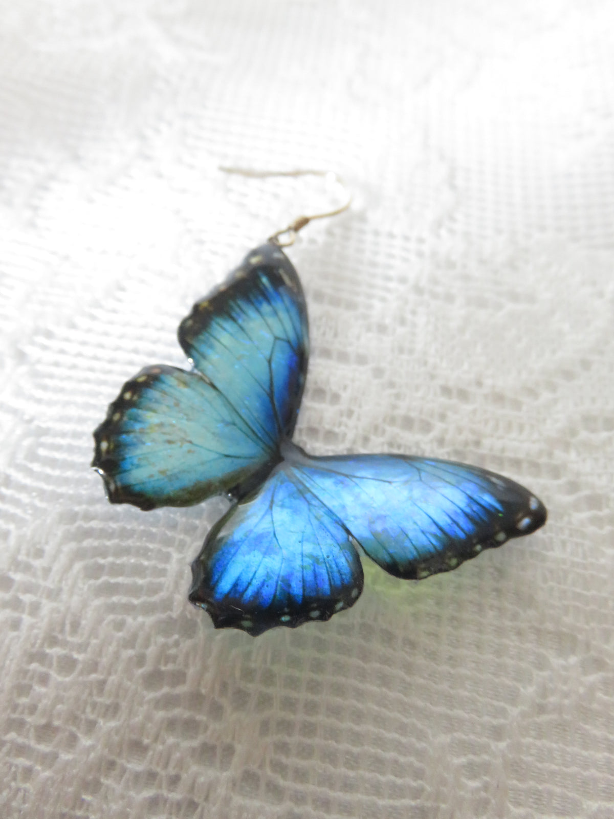 Blue Morpho Butterfly Dangle Earrings — view 4