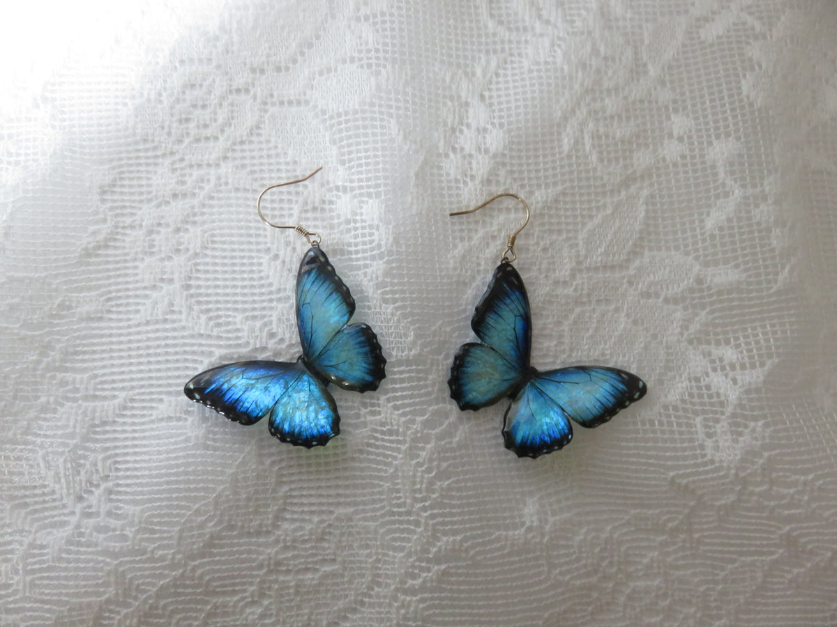 Blue Morpho Butterfly Dangle Earrings — view 5